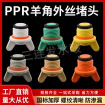 PPR Sheep Corner Plastic Thickened Silk Jam 4 points 6 Outer Tooth Choke Plug 20 25 Tube Blocked Tube Cap With Pad New Material