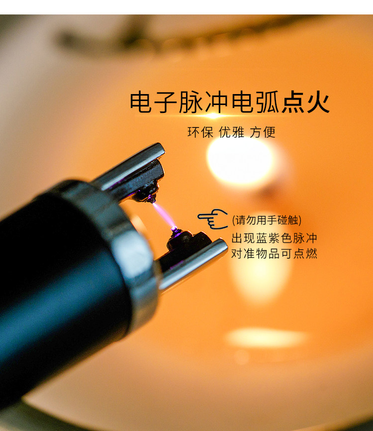 006 Igniter_04.jpg