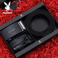 2024 ремень+3701 головка пряжки