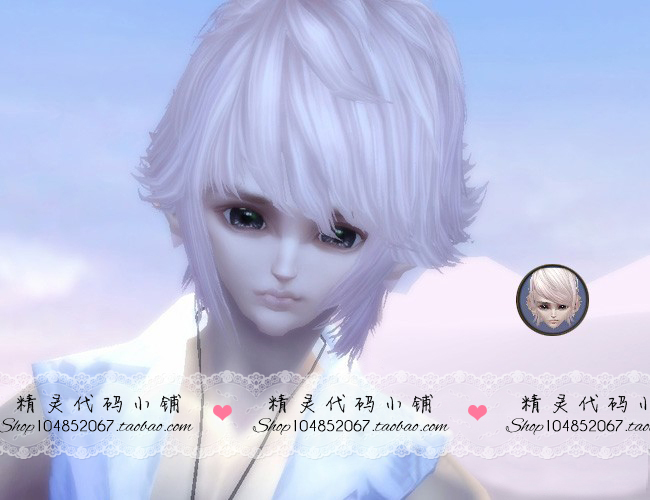 Perfect International Code CK Assassin WS Shaman Universal for the Wizards -07