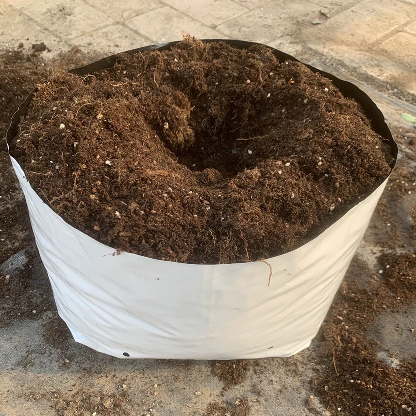 PE聚乙烯塑料黑白打孔种植袋：解锁无土栽培新玩法，透气黑科技的秘密！