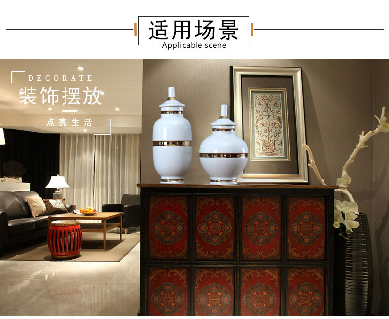 Jingdezhen modern European ideas fuels the flowers in the living room TV wine porch home decoration ceramic pot