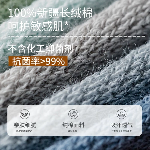 Tide, невидимые хлопковые осенние носки, тонкие дышащие нескользящие летние гетры