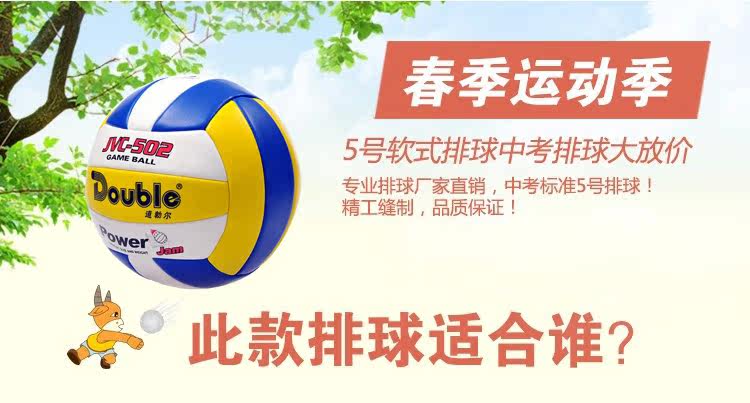 Ballon de volley-ball - Ref 2010678 Image 5