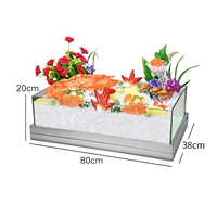 Плоская корыто для льда 80*38см (акрил)