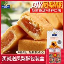 Pineapple cake homemade diy material novice homemade Chinese pastry egg yolk cake baking ingredients set meal