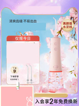 ROAMAN Roman small pagoda tooth punch W10 orthodontic special tooth cleaning teeth household convenient braces