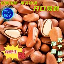 Northeastern pure wild pine nuts with plump openings easy peeling new fruits thin skins plump net weight no desiccant