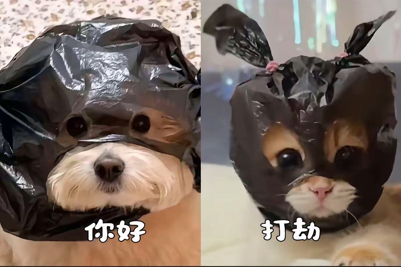 爱宠发财中心的LOGO