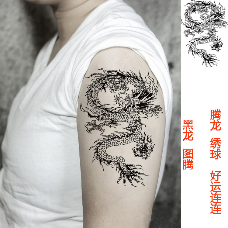 Tattoo sticker waterproof male persistent dragon chest front tap emulated tattoo stickler Beatle dragon over shoulder dragon green dragon