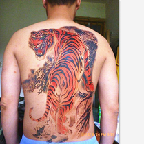 Up the mountain tiger waterproof tattoo stickers color full back tiger back big picture Down the mountain tiger tattoo stickers for men and women realistic anti-sweat