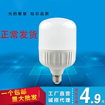 led light bulb E27 screw mouth home ultra-bright energy saving lamp warm light white ball bubble light indoor workshop lighting light source