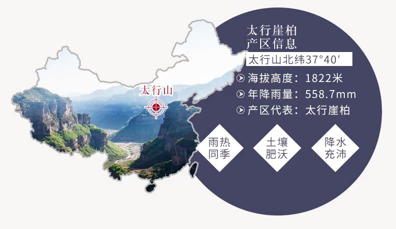 Fukuzawa World Taihang Cliff cây bách hương gỗ đàn hương tự nhiên nghi thức thiền thiền yoga trong nhà hương đường thơm - Sản phẩm hương liệu nhang hương trầm