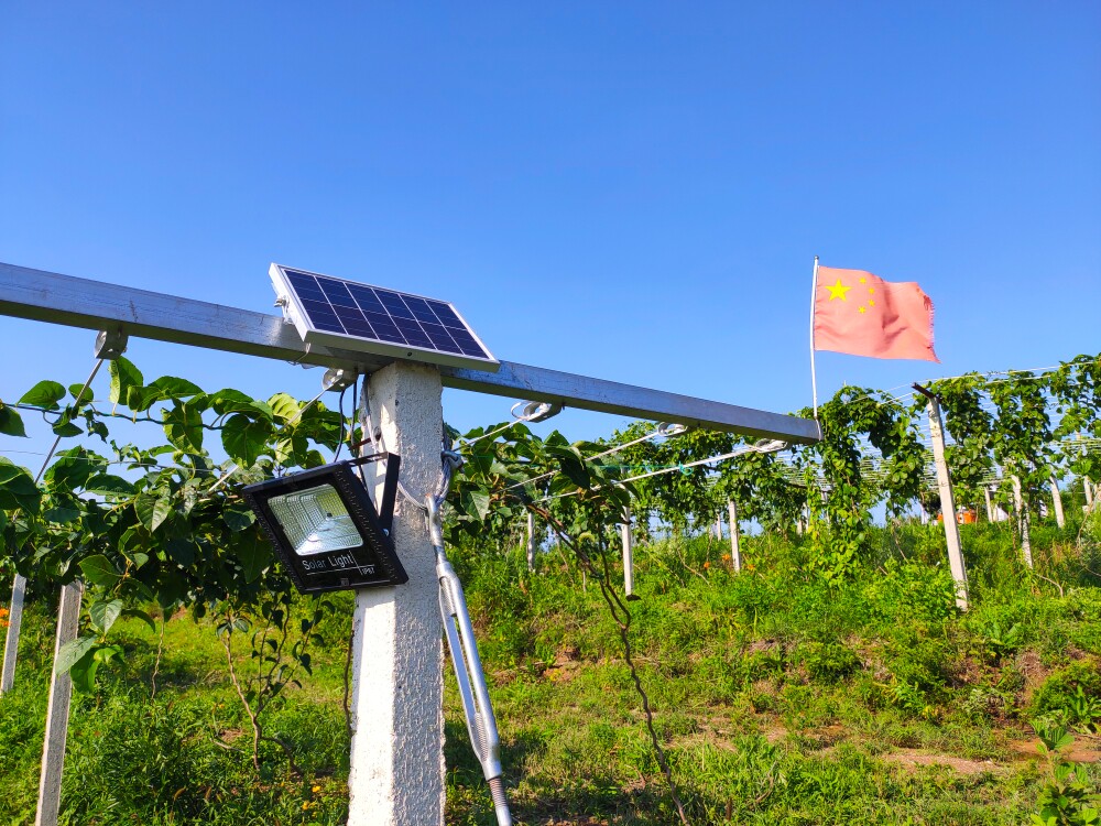 全年免电费 关注店铺 免费试用怎么样，是什么牌子_搜券