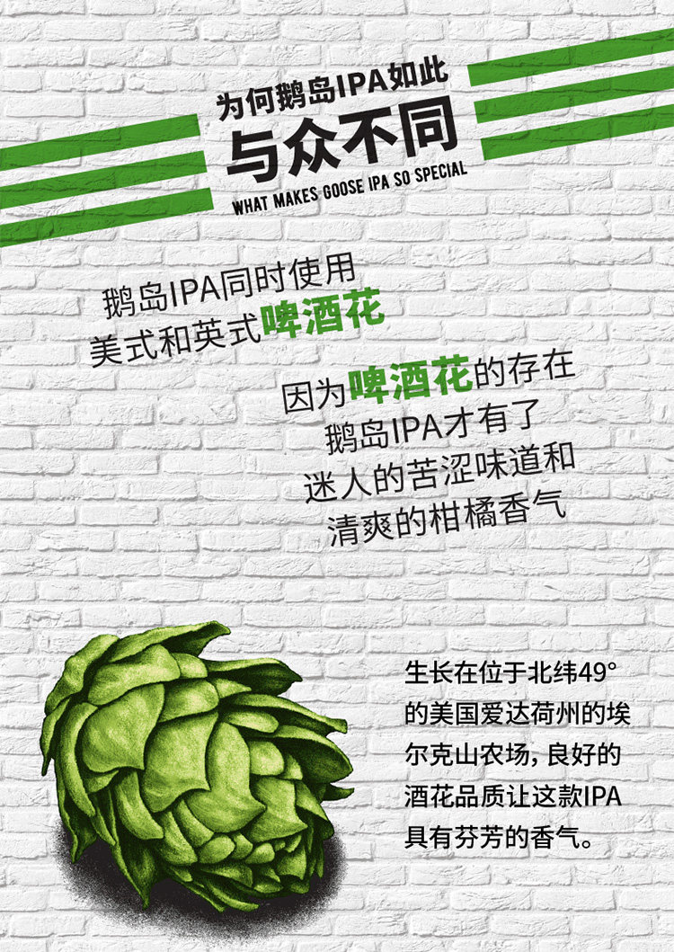 百威英博 鹅岛IPA 印度淡色艾尔精酿啤酒 355ml*24瓶整箱 天猫优惠券折后¥189包邮(¥239-50)赠精酿6听 组合可选