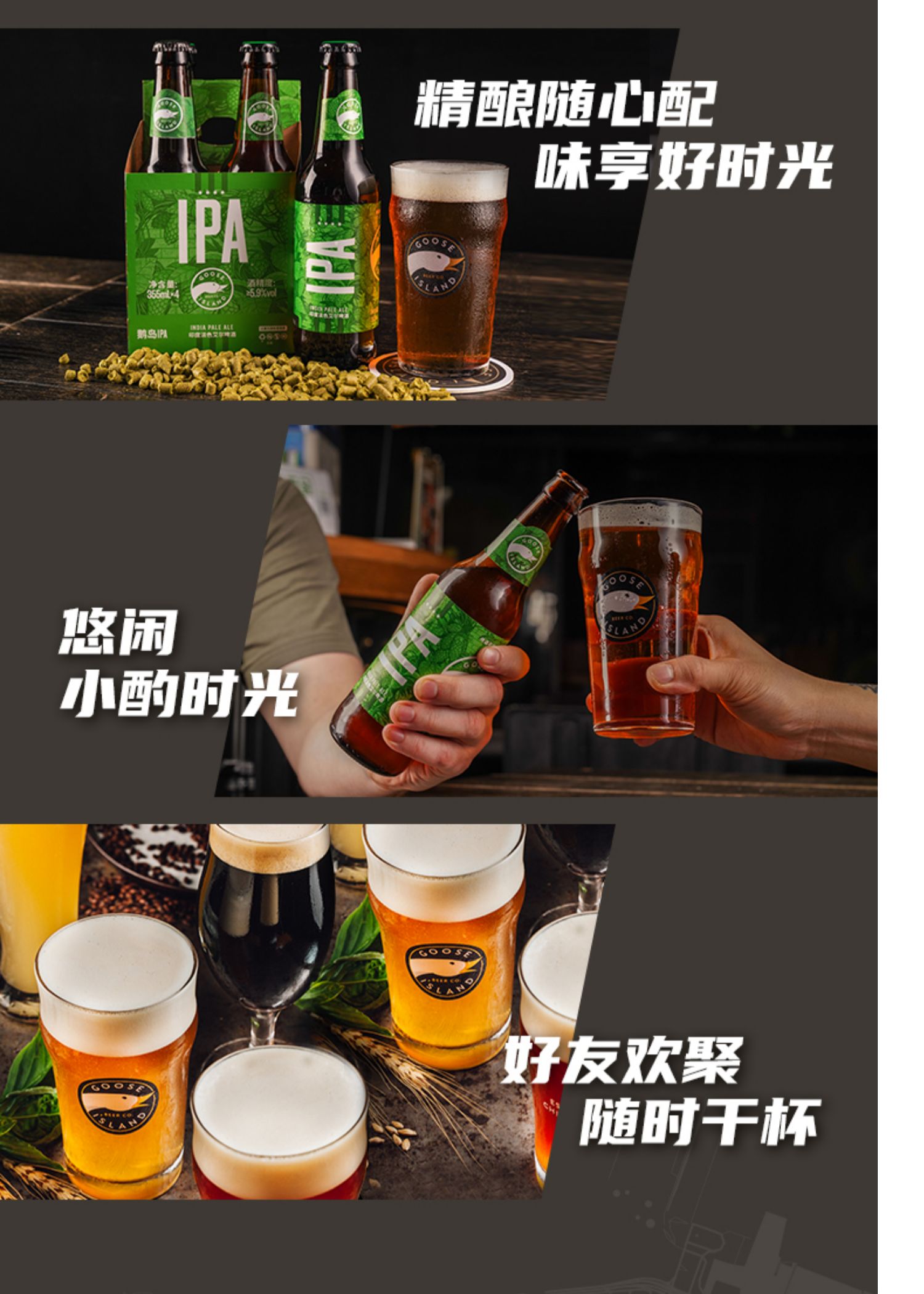 鹅岛经典英式ipa艾尔精酿啤酒24瓶