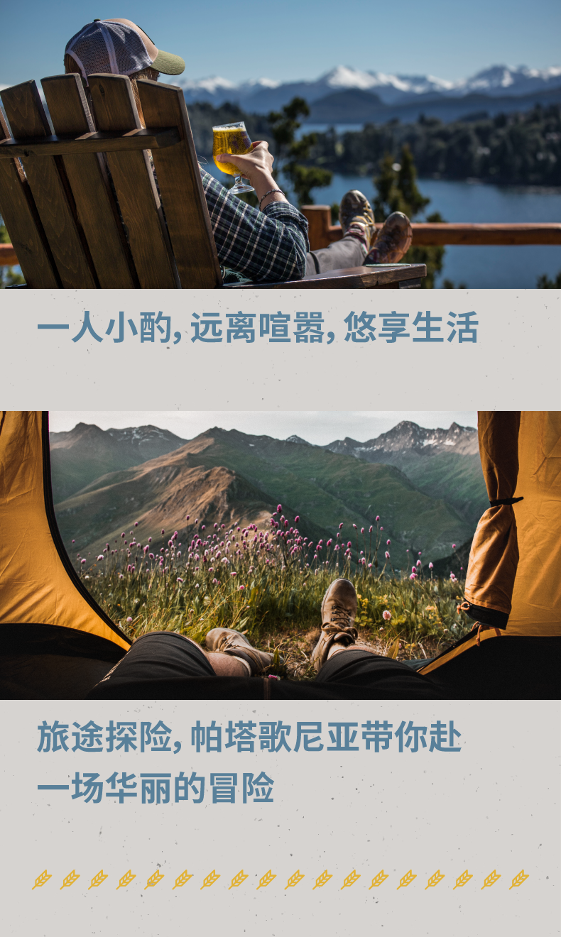 百威精酿 阿根廷进口 帕塔歌尼亚 白啤酒 473ml*6听 图7