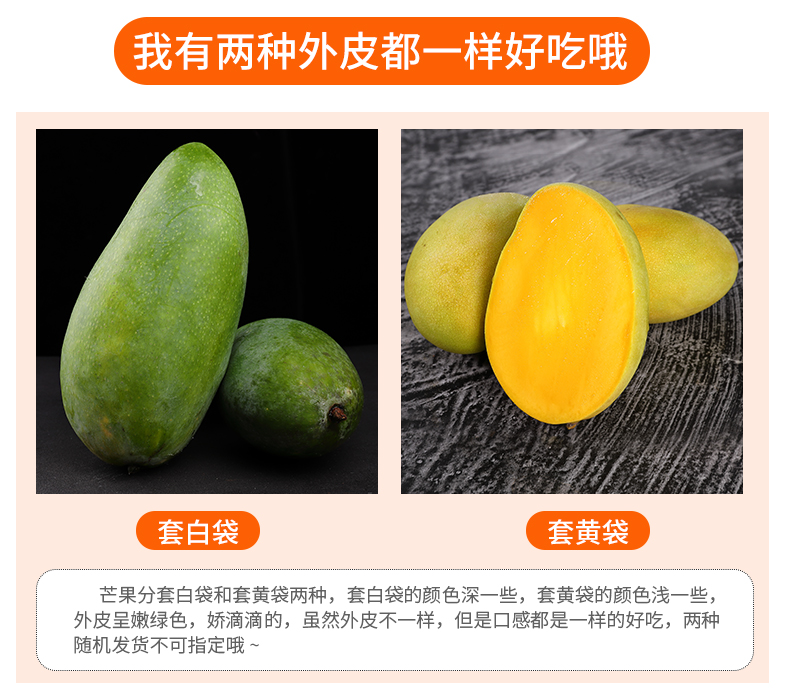 售后全程兜底【5斤】越南青芒芒果现摘