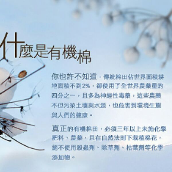 Body - Ref 655983 Image 6