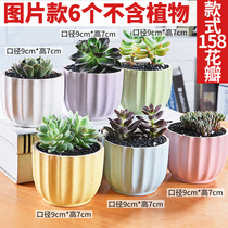 Bonsai pot simple European small personality indoor planting flower pot multi-meaty balcony special ceramic pot ceramic pot