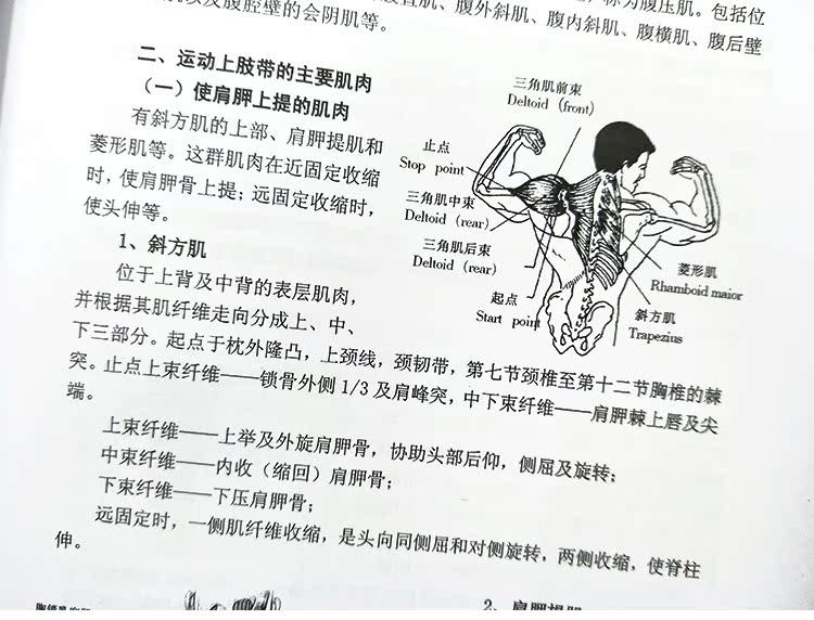 Trường trung học cơ sở mới Hatha Yoga tài liệu đào tạo giảng viên phiên bản sửa đổi của sách hướng dẫn cơ bản hướng dẫn quần tập yoga