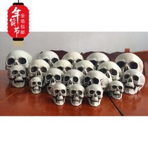Halloween props large and small skull simulation skull model human skull horror scene decoration supplies