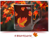 Nestlé coffee cup 2000 years ago early antique coffee cup maple leaf cup brown maple cup horizontal label collection