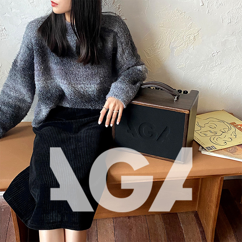 Germany AGA GA3P 20 40W folk acoustic guitar speaker electric box wooden guitar classical playing and singing audio