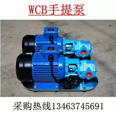 Thin oil WCB-50 30 75 gear oil pump Portable portable gear oil pump Cast iron pump Whole stainless steel