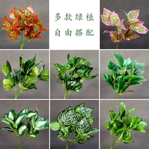 Green artificial flower decoration flower material outdoor green plant display arrangement bunch of artificial leaves flower arrangement accessories plastic wedding