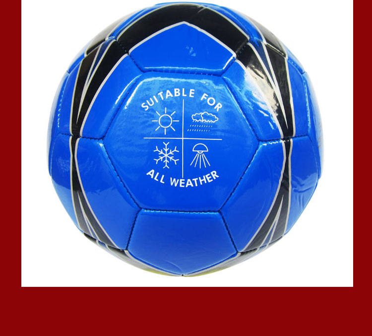 Ballon de foot - Ref 5840 Image 19