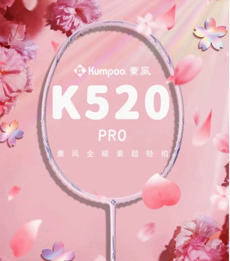 Xunfeng k520pro+ серебряная ракетка для бадминтона из полного углеродного волокна сверхлегкая 4U5U Xunfeng черная лезвие ракетка Tengwangge