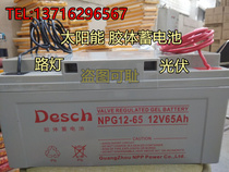 DESCH solar special colloid battery 12V65AH street lamp photovoltaic power generation NPG65-12 energy storage
