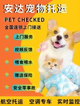 宠物托运猫咪狗狗等空运陆运专车顺风车运输上门接送服务实时监控