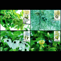 2006-5 Relict Plants Stamps Ornamental Medicinal Rare Flowers and Trees Extreme Postcard