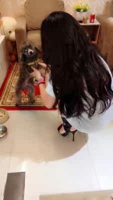 Extension mèches - Ref 225774 Image 17