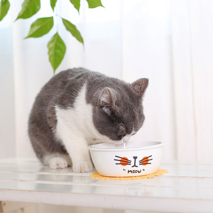 陶瓷猫碗食盆水碗猫咪吃饭碗竹制碗架饭盆不锈钢猫食盆猫粮盆架子