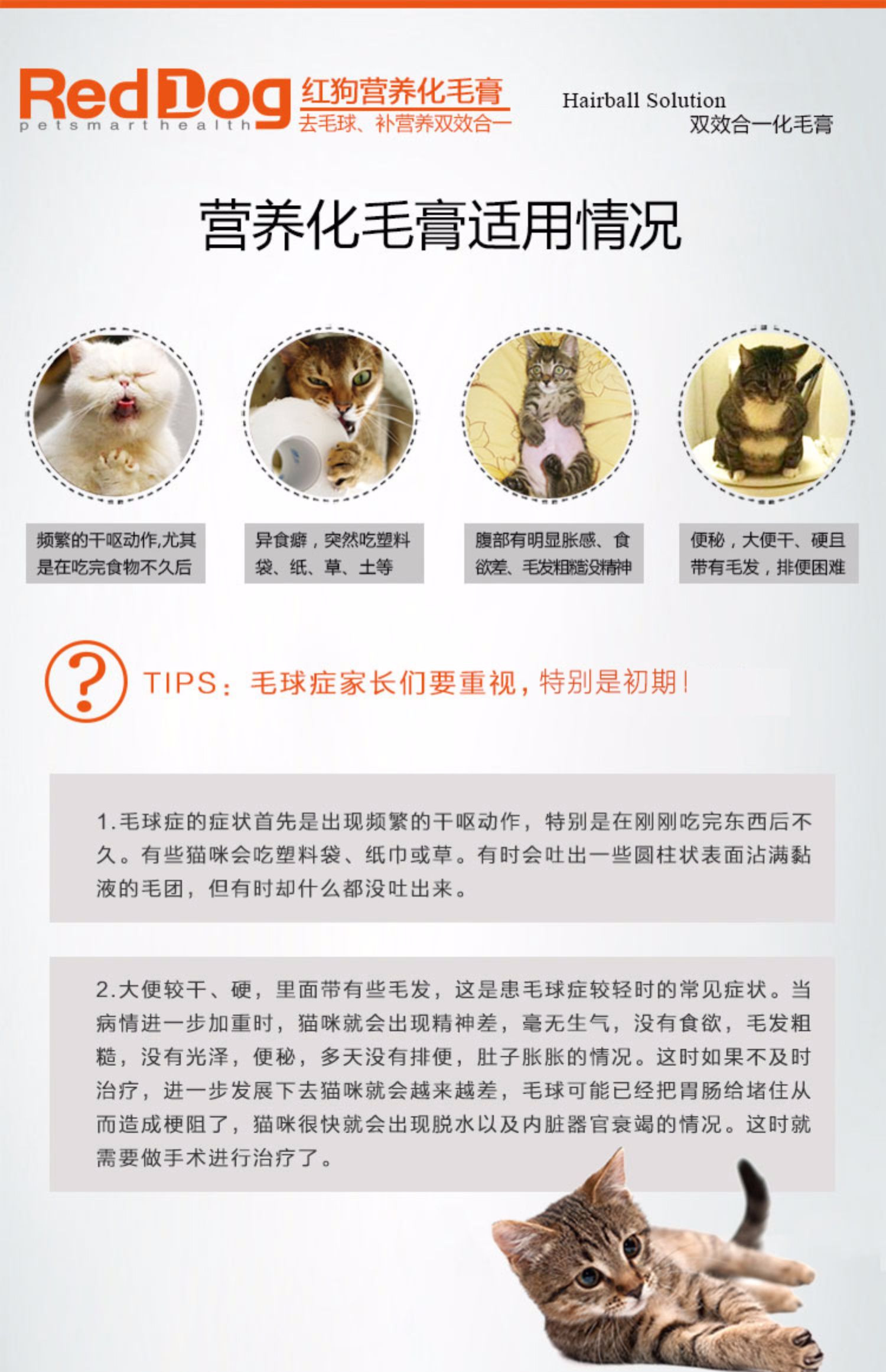 Kem dưỡng lông chó mèo đỏ mèo mèo đặc biệt nhổ kem RedDog mèo vitamin dinh dưỡng - Cat / Dog Health bổ sung sữa mèo con