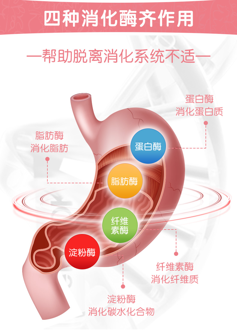 Kem dưỡng tóc của Med, men tiêu hóa taurine, cỏ lúa mì, mèo lông, tẩy lông đặc biệt, bóng, Medes - Cat / Dog Health bổ sung Sữa cho chó lớn