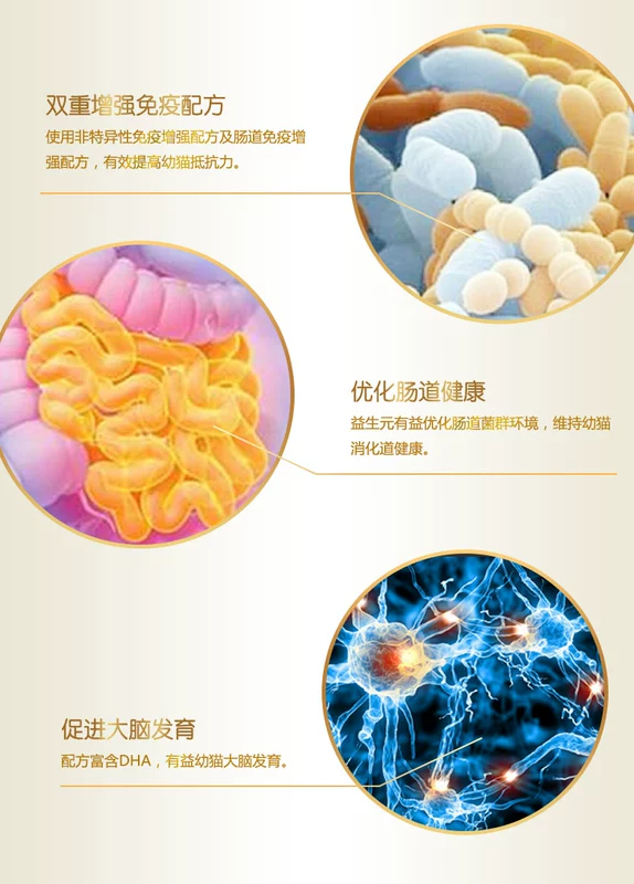 Permasite vào một con mèo để lông mèo thức ăn cho mèo 2kg cải thiện hệ thống tiêu hóa Thức ăn cho mèo Pet mèo thức ăn chủ yếu cho mèo
