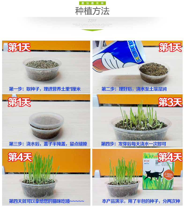 Mèo trồng cỏ đặt mèo ăn cỏ lúa mạch để tóc bóng mèo cỏ thủy canh mèo hạt giống mèo cỏ bạc hà trong chậu - Đồ ăn nhẹ cho mèo thức ăn tốt cho mèo
