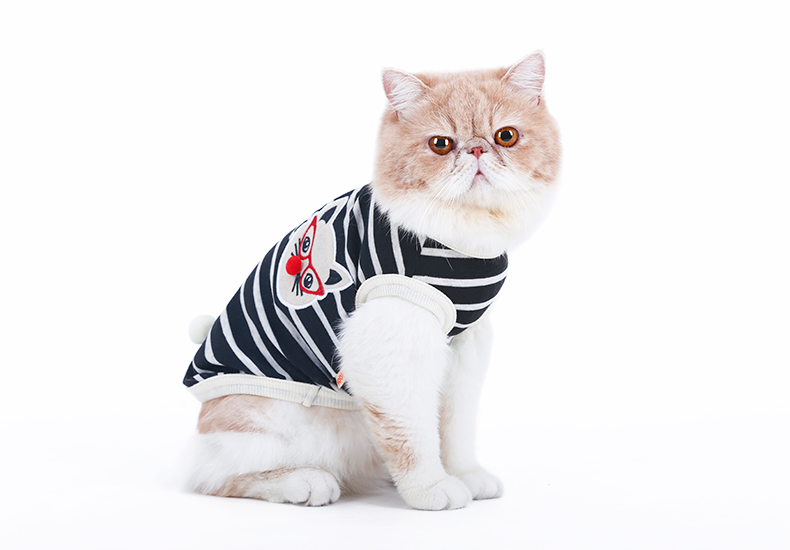 Quần áo mèo, mèo con, mèo xanh, quần áo thú cưng ngắn, Anh ngắn, Garfield, vest, dễ thương, hài hước, quần áo mèo sữa - Quần áo & phụ kiện thú cưng phụ kiện cho thú cưng