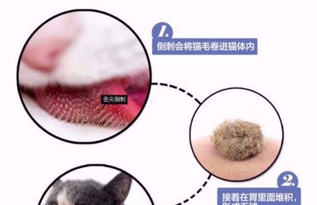 化毛膏维斯康猫咪化毛膏猫去毛球猫吐毛膏调理