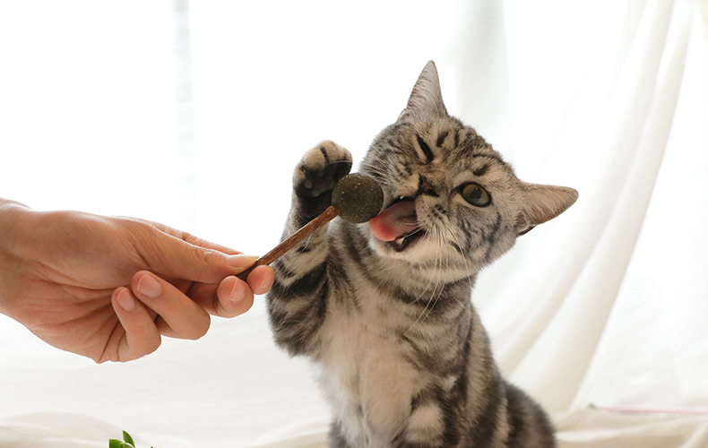 Catnip kẹo mút mèo mol mèo đồ chơi mèo vui mèo dính catnip bóng gỗ bọ cạp mèo cỏ mèo mèo ăn nhẹ thức ăn cho mèo con 2 tháng tuổi