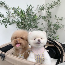 THE PAWS Milk Bag Thyme Holiday Wind Butterfly Knot Harnesses Dog Summer Cool Vest Air Conditioning Suit