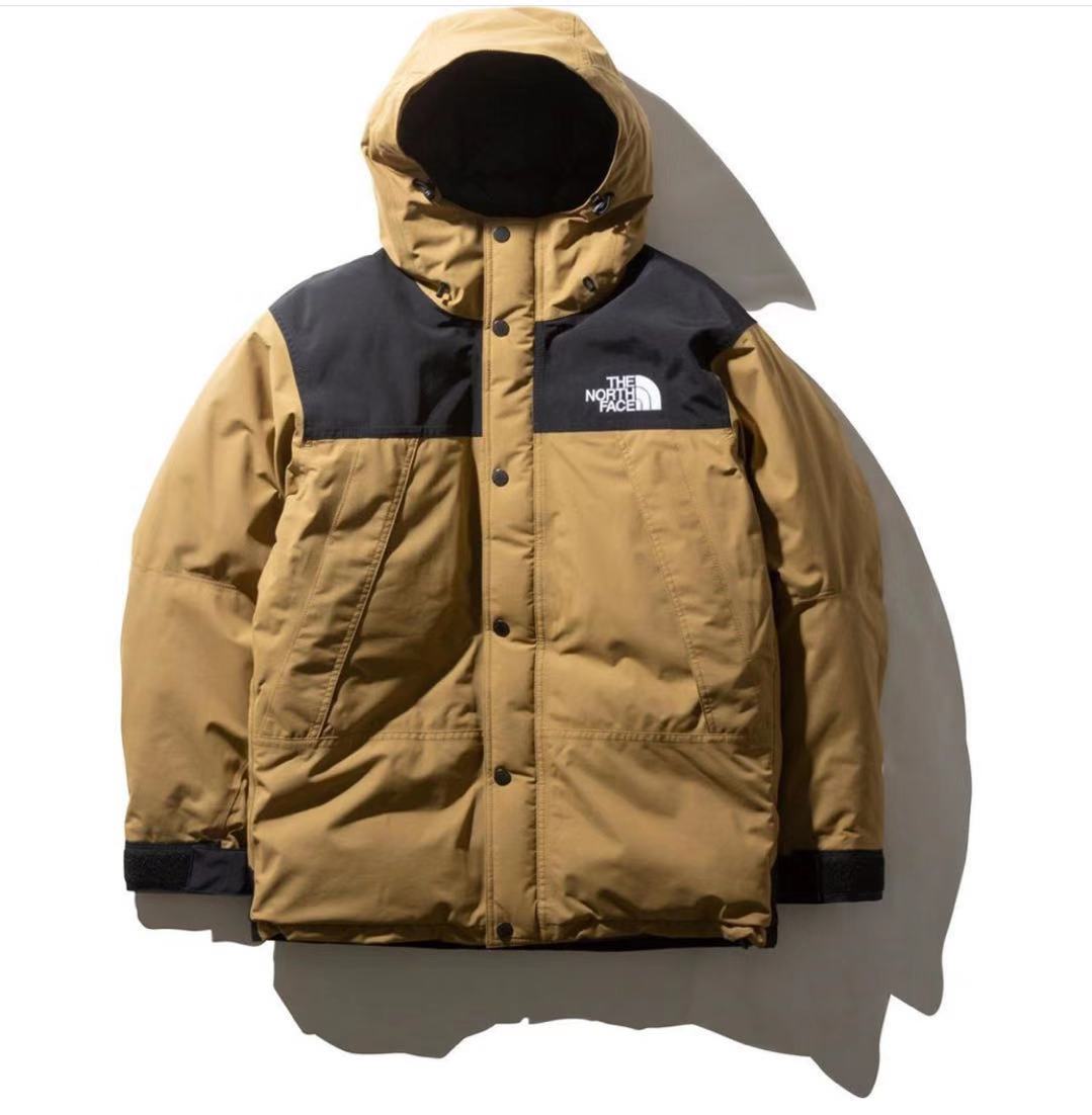 the north face mountain down coat