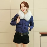 Зимний пуховик с пухом, короткий приталенный корсет, куртка, подходит для подростков, коллекция 2022