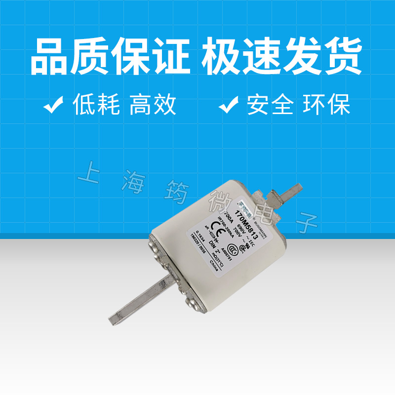 For the new fuse bottom seat fuse 170M5813 welcome advice