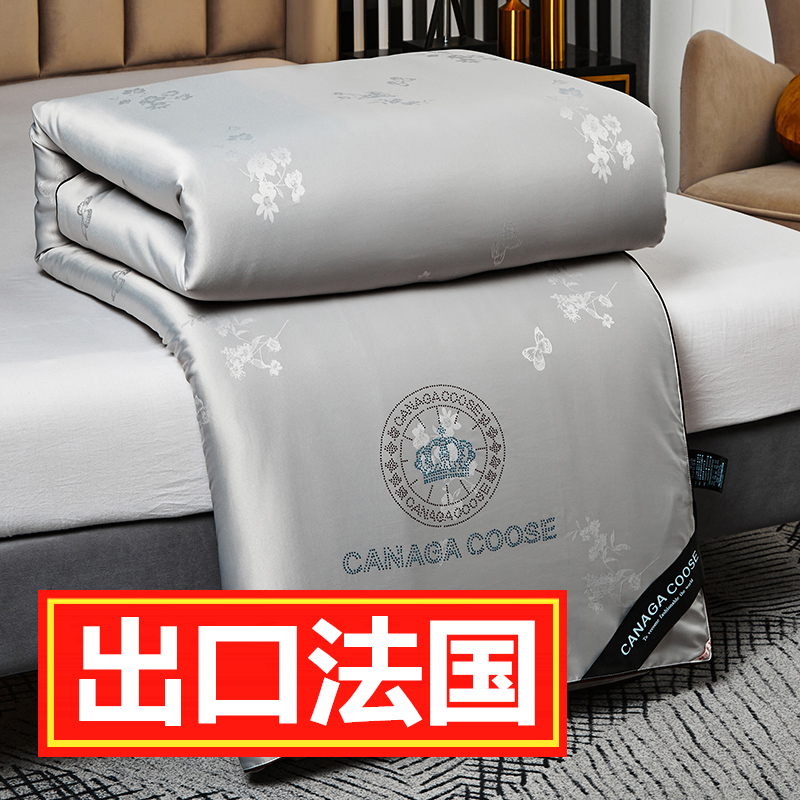 Exported silk quilted by 100 mulberry silk t quilt by core thickened warm winter quilted by 10 Jin Chunqiu by single double winter