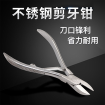 Veterinary veterinary instruments and tools Piggy stainless steel tooth cutting pliers for pig tooth cutting cutter piglet tooth cutter breeding